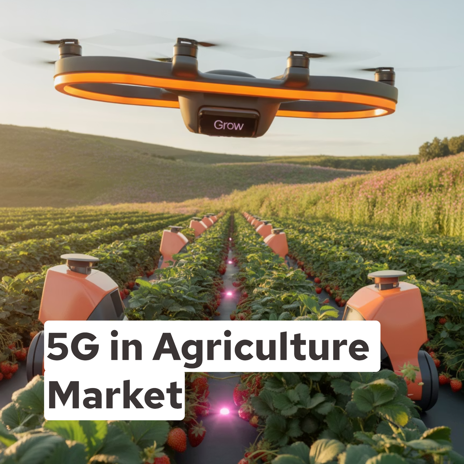 5G in Agriculture Market