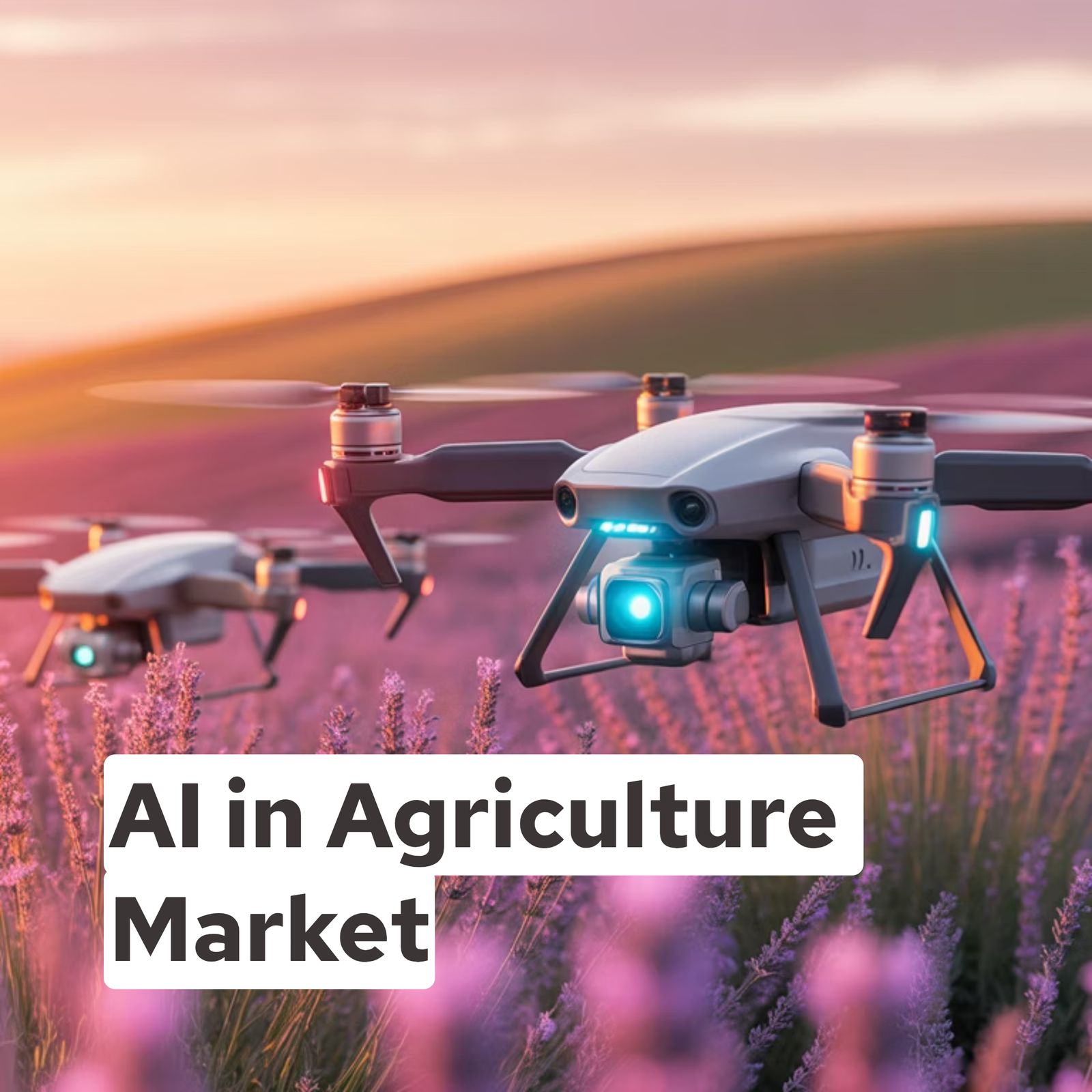 AI in Agriculture Market