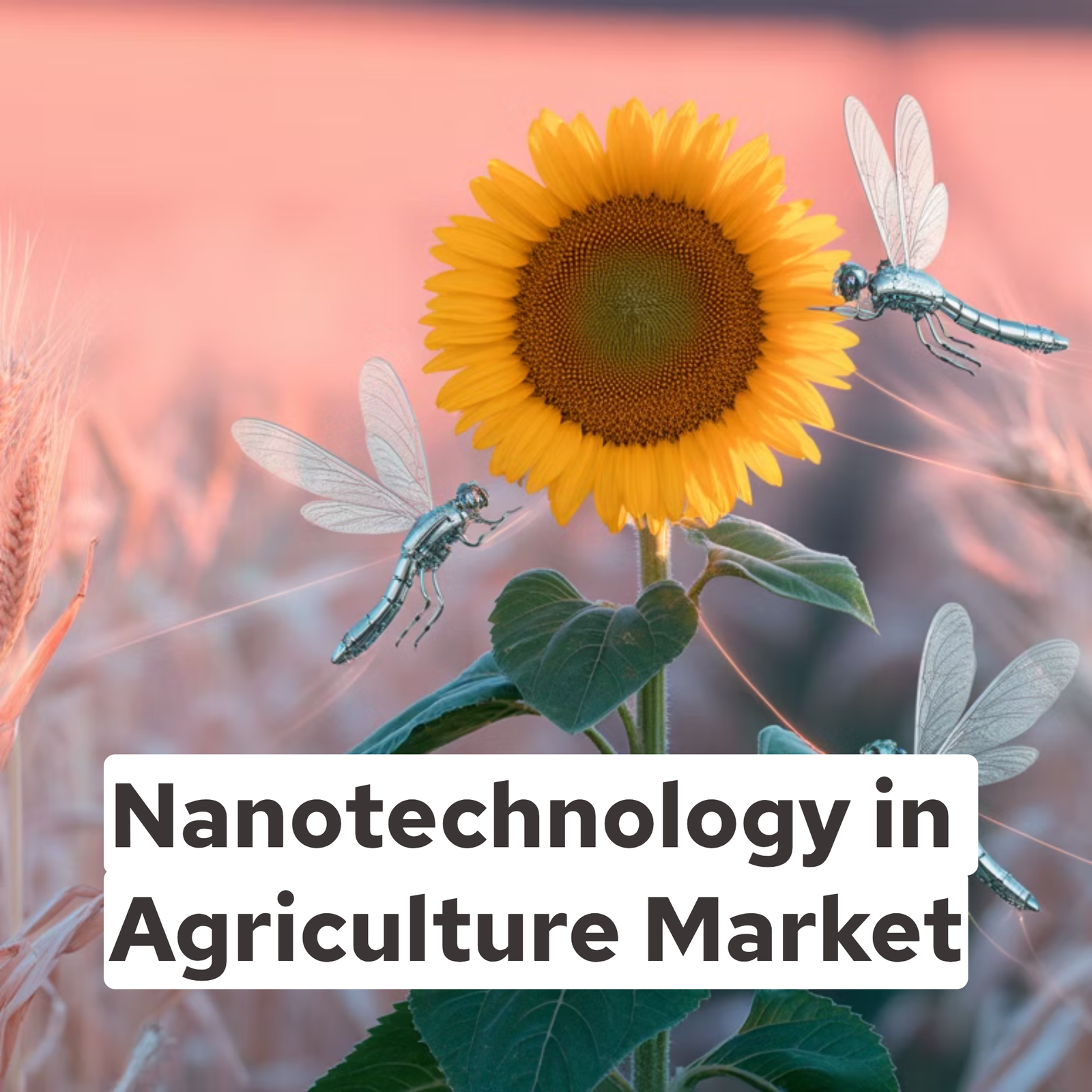 Nanotechnology in Agriculture Market