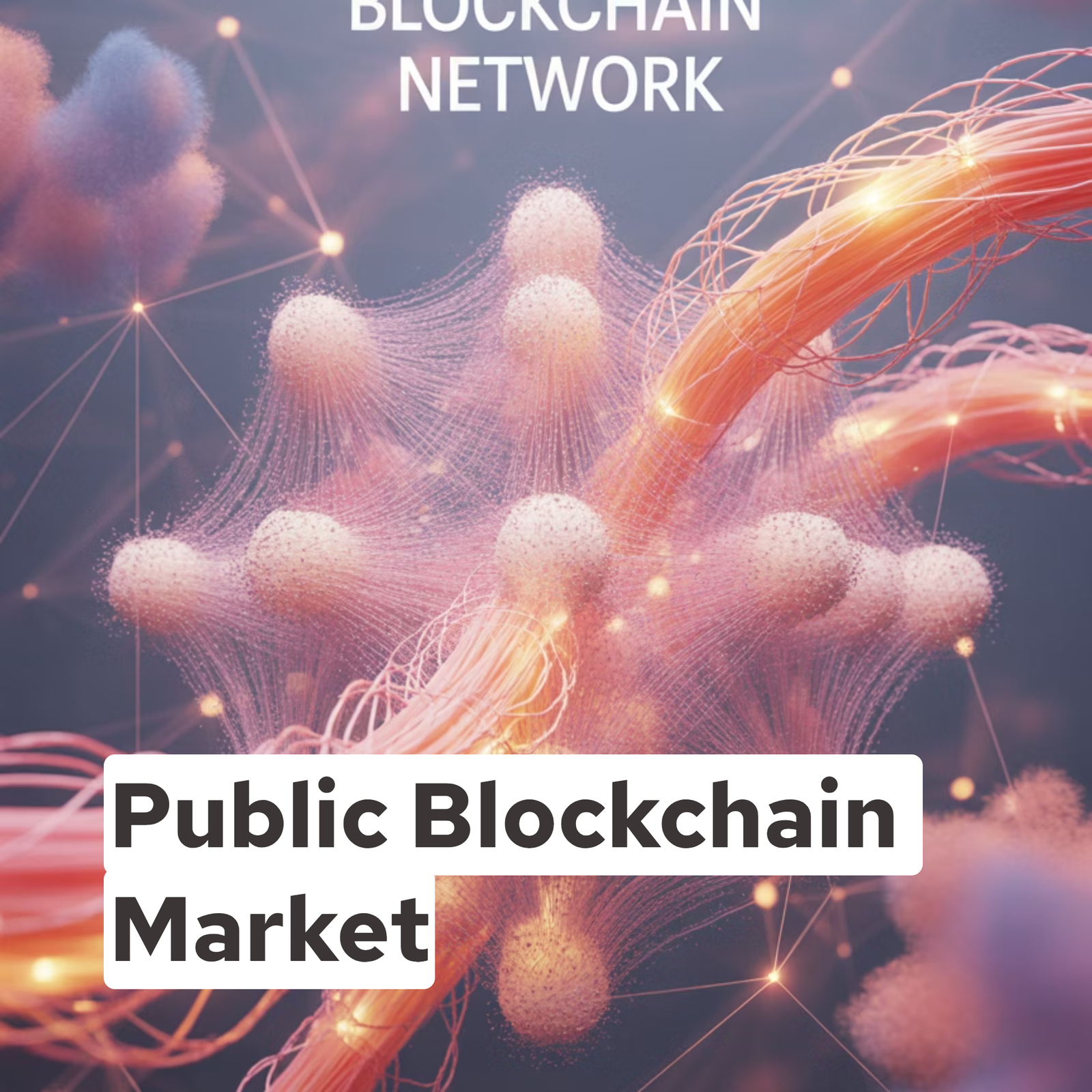 Public Blockchain Market