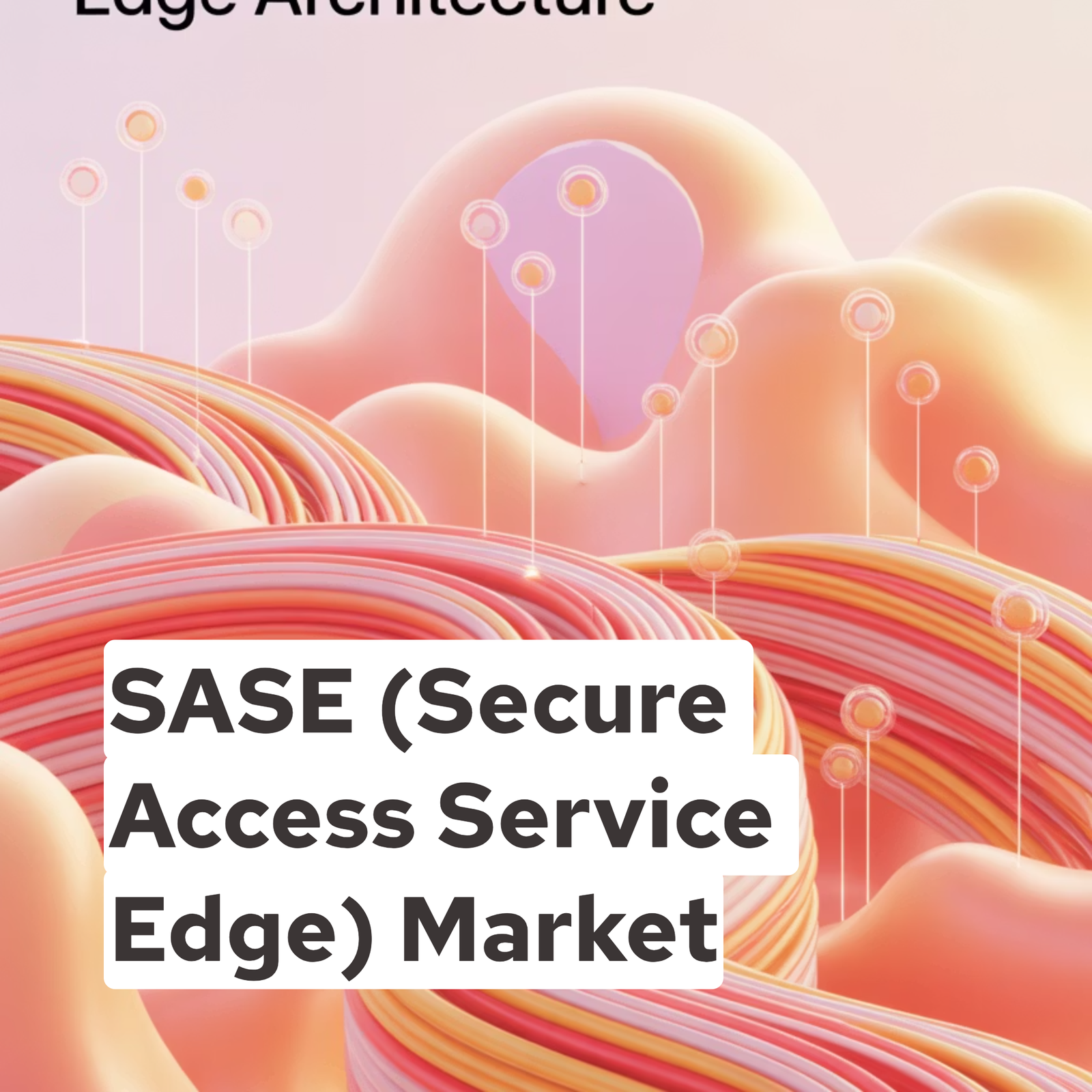 SASE (Secure Access Service Edge) Market