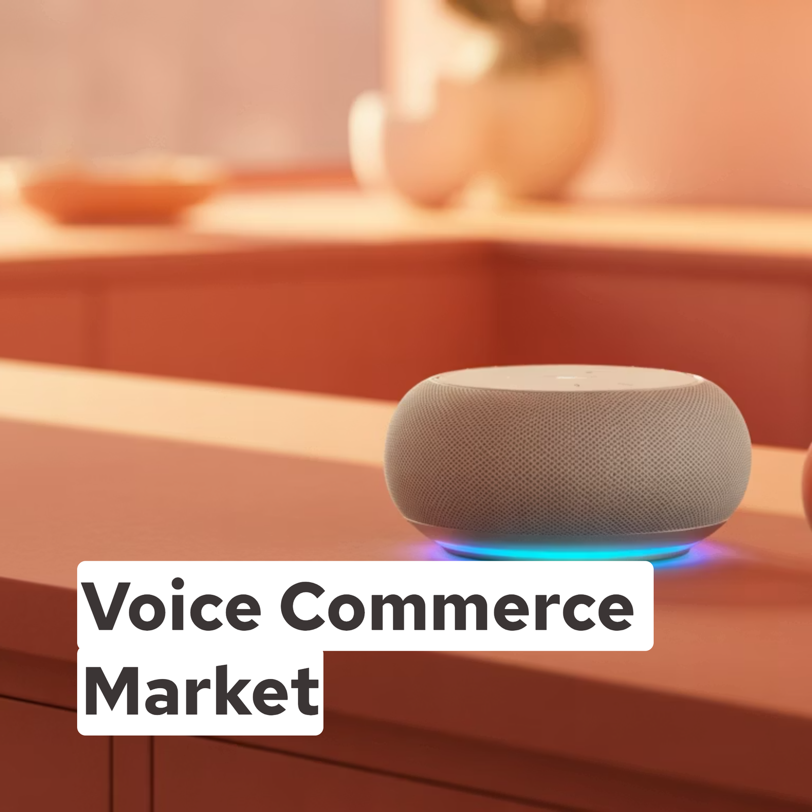 Voice Commerce Market